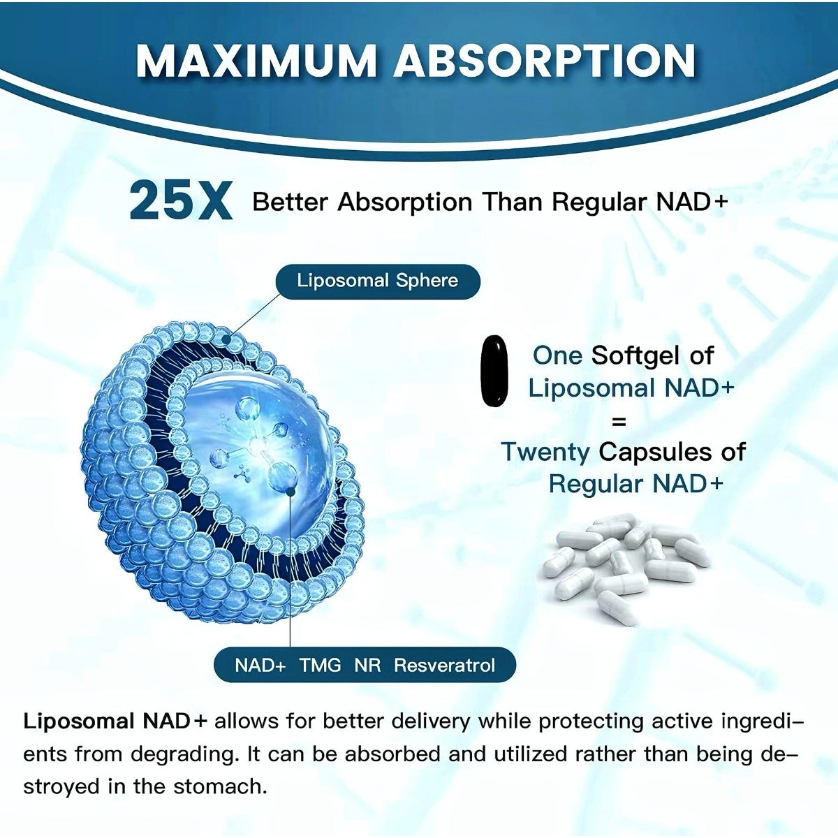 buy nad, buy nad supplement, nad buy, buy resveratrol, cellular supplement, resveratrol and nad supplement, nad cell, nad resveratrol, nicotinamide riboside, nad and resveratrol, resveratrol 500mg, niacinamide riboside, nad with resveratrol, nad riboside, alpha acid lipoic, resveratrol 400mg, niacin riboside, alpha li, supplement s, nicotina mide, acid lipoic acid, nad+ supplement, nad supplement, nad plus, liposomal nad+, nad plus supplement, nad cell regenerator, life extension nad, nad booster, nad 500 m