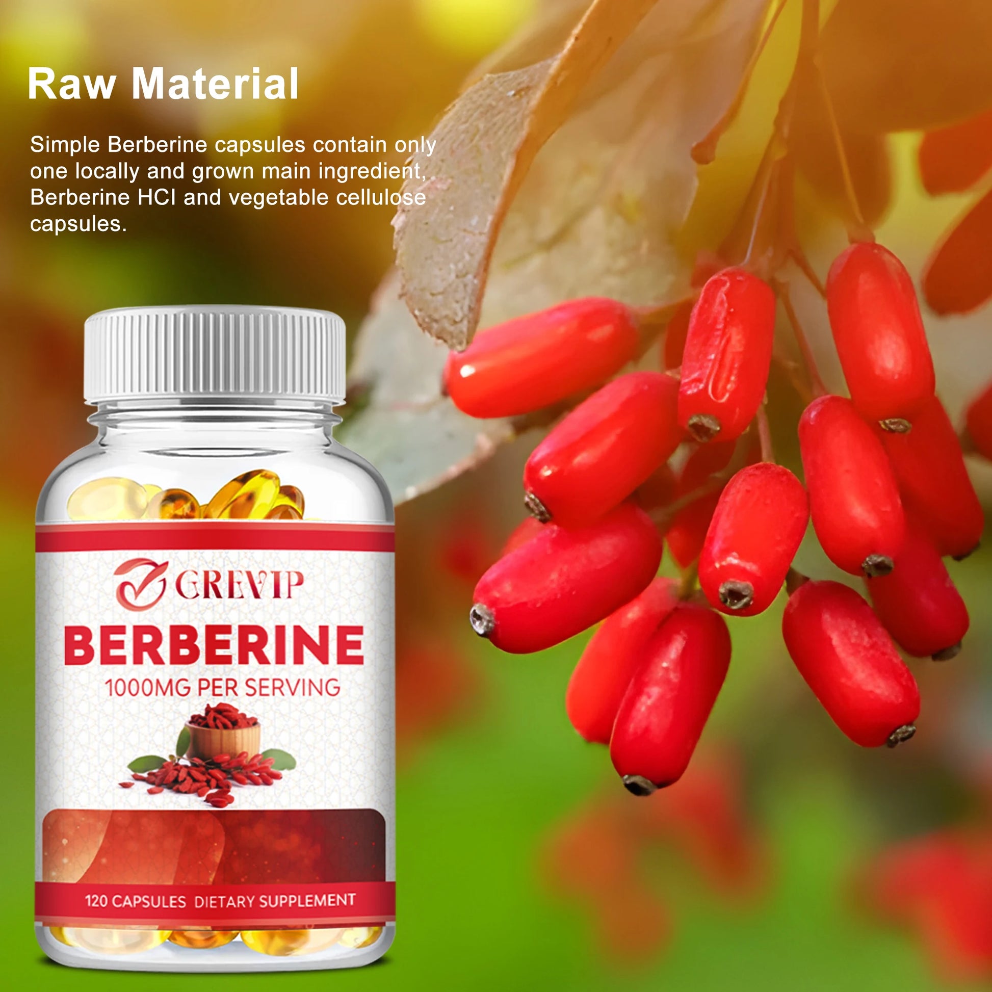 Berberine Extract Supplement - Immune System Support, Healthy Gastrointestinal Tract, Heart Health - 120 Capsules