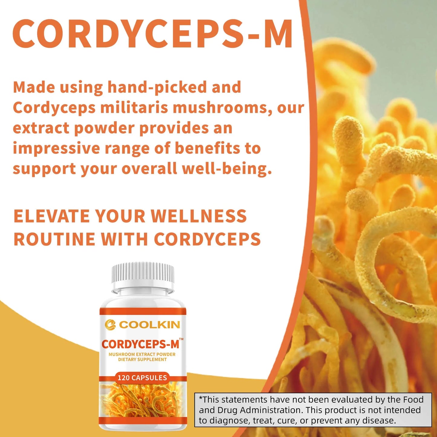 Cordyceps Supplements - Boosts Energy, Endurance and Stamina, Improves Memory and Concentration - 120 Capsules