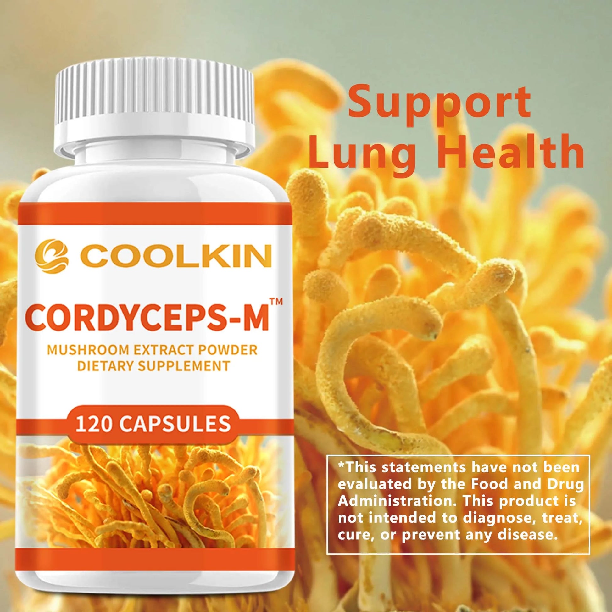 Cordyceps Supplements - Boosts Energy, Endurance and Stamina, Improves Memory and Concentration - 120 Capsules