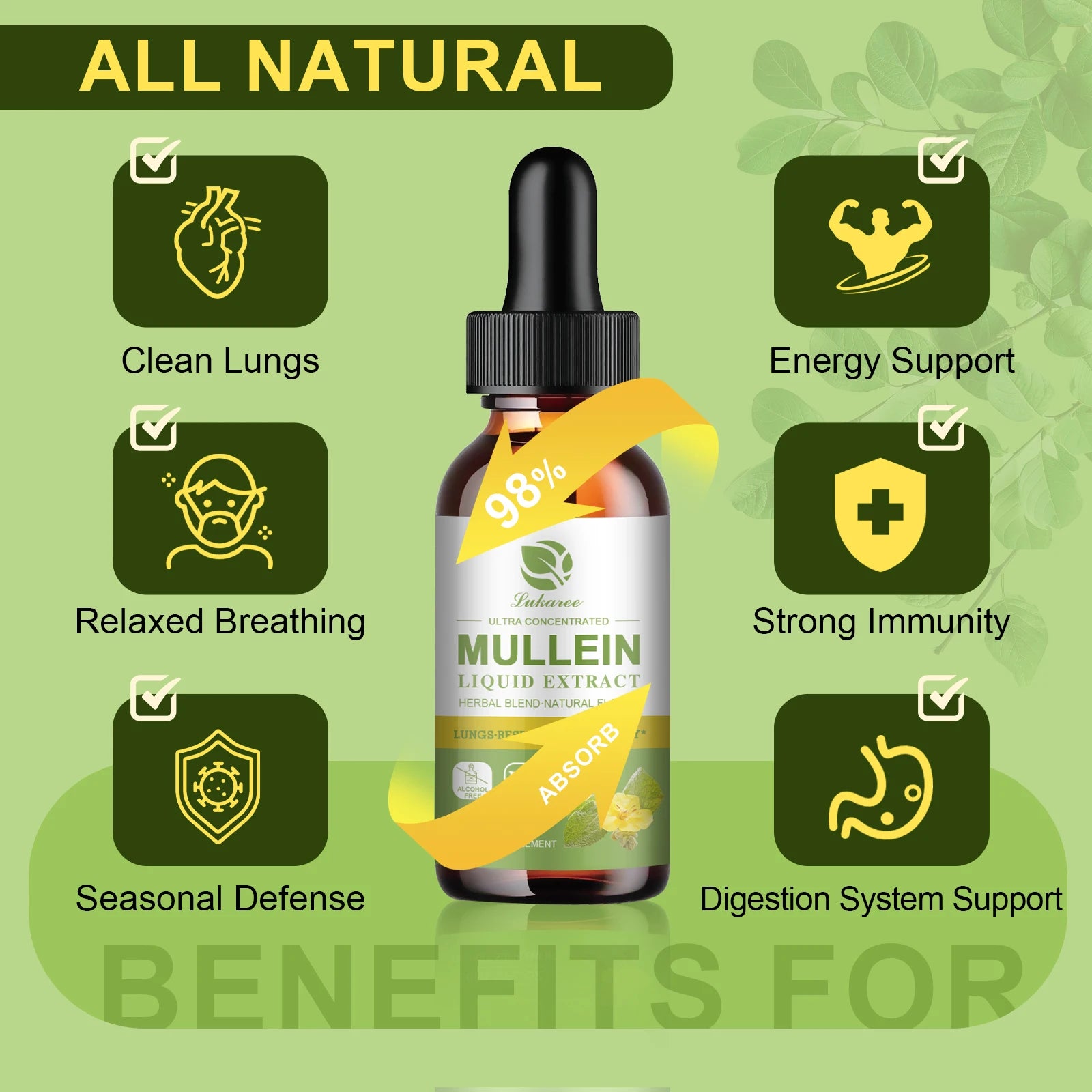 Mullein Drops for Lungs - Mullein Leaf Extract Supplement - Lung & Bronchial Cleanse - Respiratory Health Support