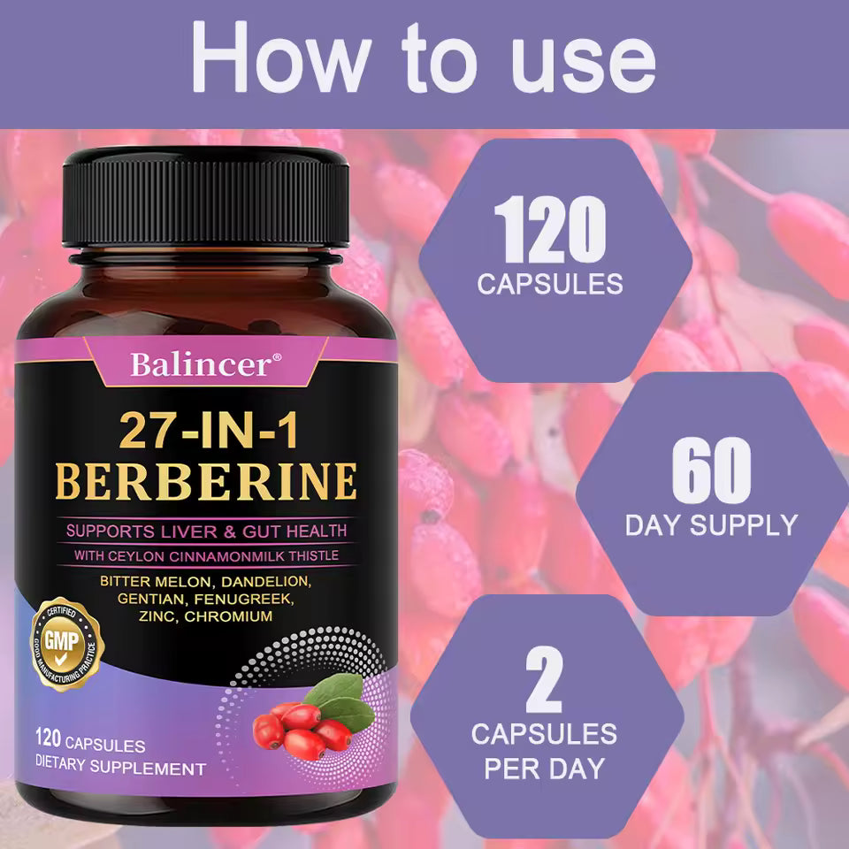 27-IN-1 Berberine Supplement | Liver and Gut Health | Blood Sugar Support | Ceylon Cinnamon Milk Thistle | 120 Capsules