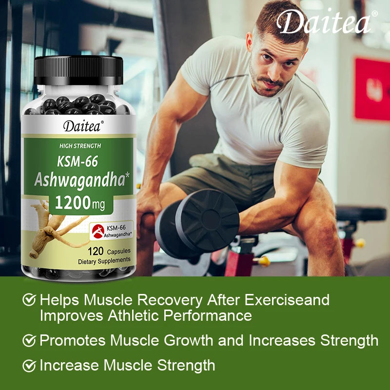 Ashwagandha 1200 mg - Stress Relief Formula, Supports Energy & Focus, 120 Veggie Capsules