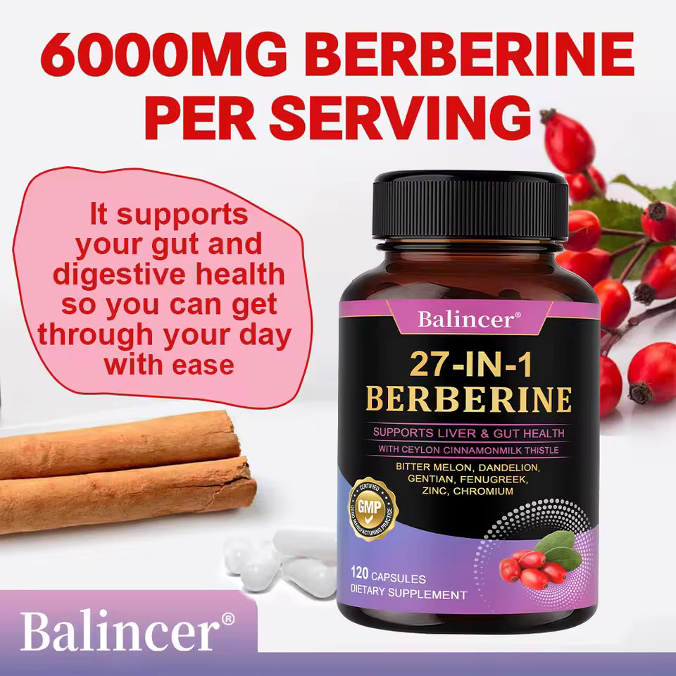 27-IN-1 Berberine Supplement | Liver and Gut Health | Blood Sugar Support | Ceylon Cinnamon Milk Thistle | 120 Capsules